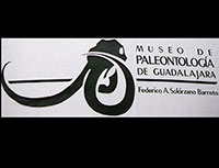 Paleontology Museum, Guadalajara