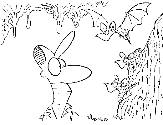 Click on "next picture" below to continue the story