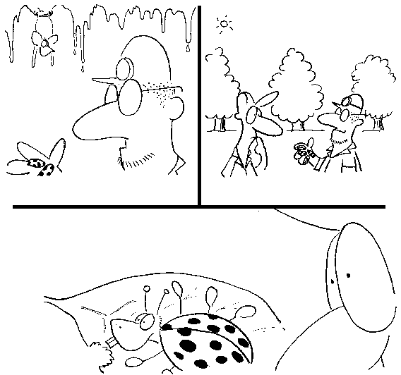 Click below to see the next picture