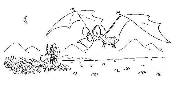 Click below to see the next picture