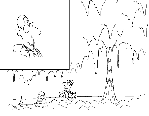 Click below to see the next picture