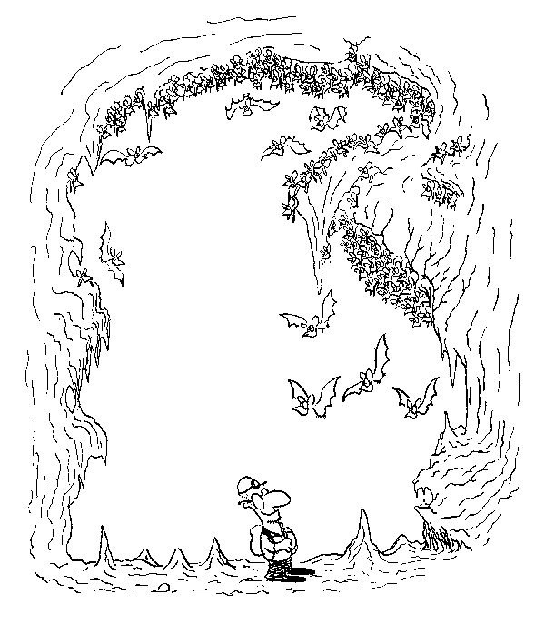 Click below to see the next picture