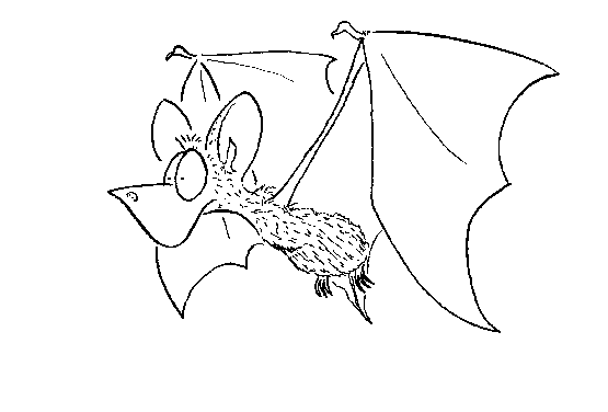 Click below to see the next picture