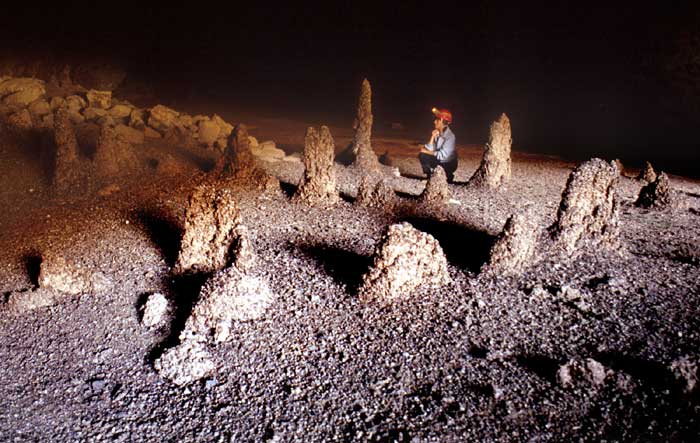 Rock-dove guanomites inside Ghostly Cave