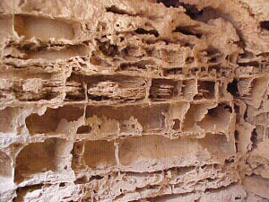 Delicate boxwork in Murubbeh Cave