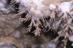These delicate feather-like gypsum crystals could be destroyed in an instant