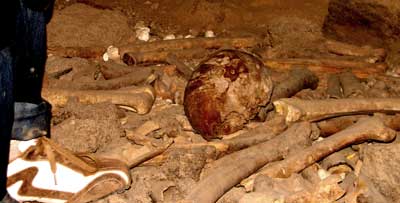 Human skull in situ - Photo by Mahmoud Al-Shanti