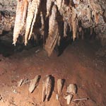 Stalactites broken by vandals in Surprise Cave.