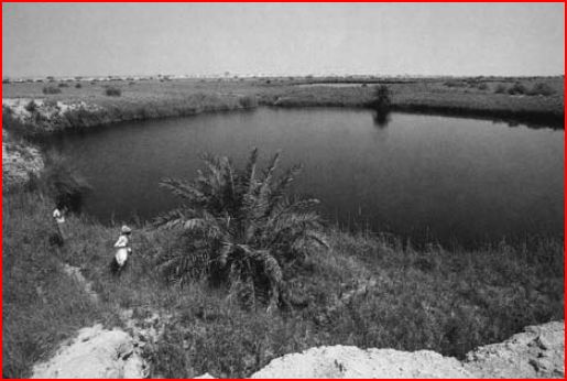 The Lakes in 1984 - Ministry of Agriculture & Water