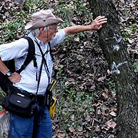 Fight to save a Mexican Forest