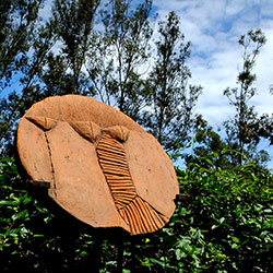 Abstract sculpture in CIANF garden