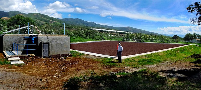 wetland-processor