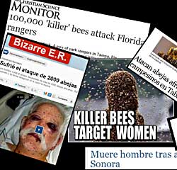 News Update on Bee Attacks, USA and Mexico