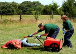 Prueba de BeeAlert en la Universidad Texas A&M