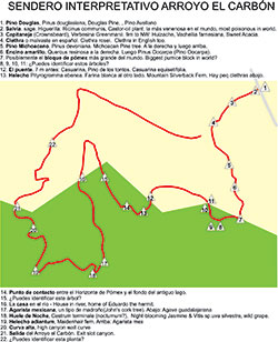 Virtual Interpretive Trail - click for Printable map