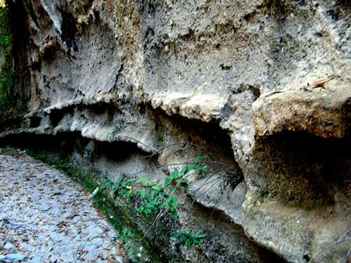 Natural shelves in Arroyo El Carbon