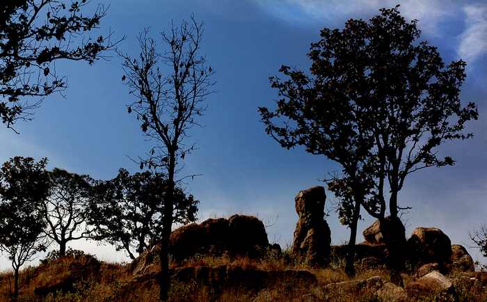 The Magic Rocks of Los Chorros de Tala