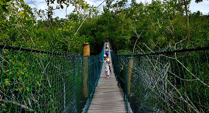 Hanging bridge at La Manzanilla Crocodile Sanctuary