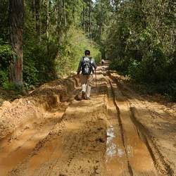 Muddy trail in the rainy season