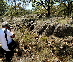 Geographer Luis Valdivia with Fossil Fumaroles in Mexico
