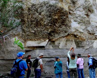 Giant Block of Pumice in Primavera Forest