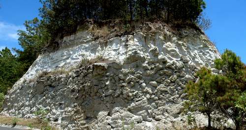 Giant Pumice Horizon