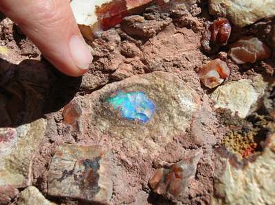 Finding an opal at a Magdalena mine