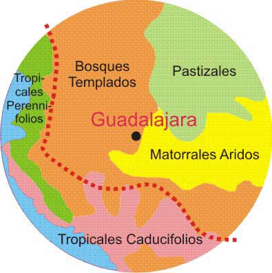 Guadalajara's Magic Circle:  by J. Pint after Rhoda & Burton