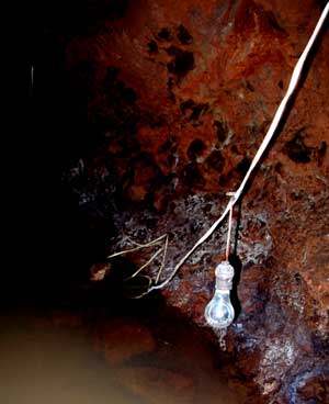 Wires In Water
