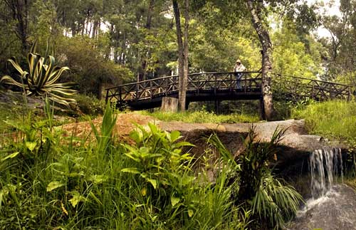 Los Cazos, Mazamitla