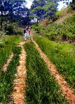 Primavera Interpretive Trail