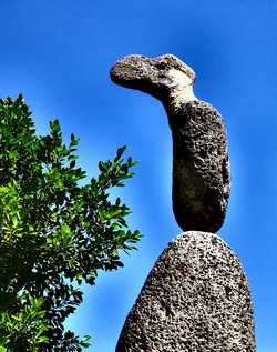 bird sculpture by Don Roberto
