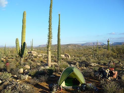 Salva Rodriguez camping in northern Mexico