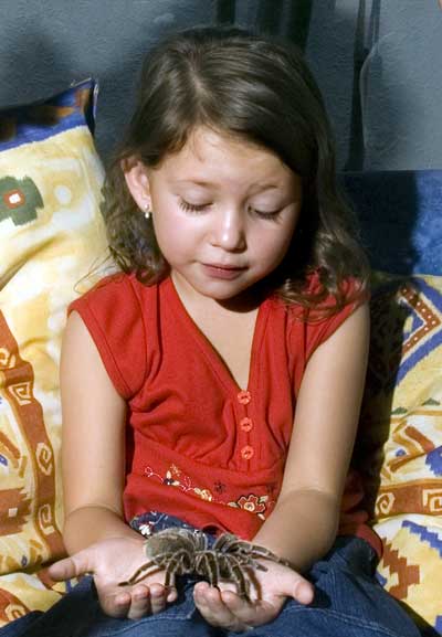 Meli Lloyd con una Grammostola rosea