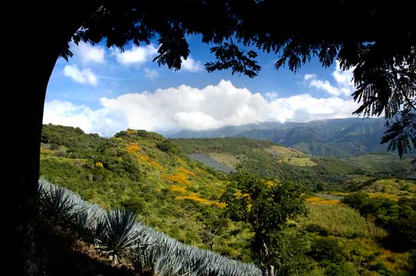 El Tecuane Canyon