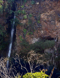 Waterfall on Tequilizinta trail, Jalisco, Mexico