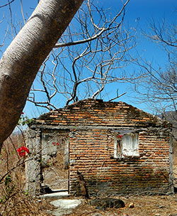 Abandoned house at Tequilizinta