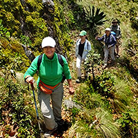 Scouting Tequila Volcano