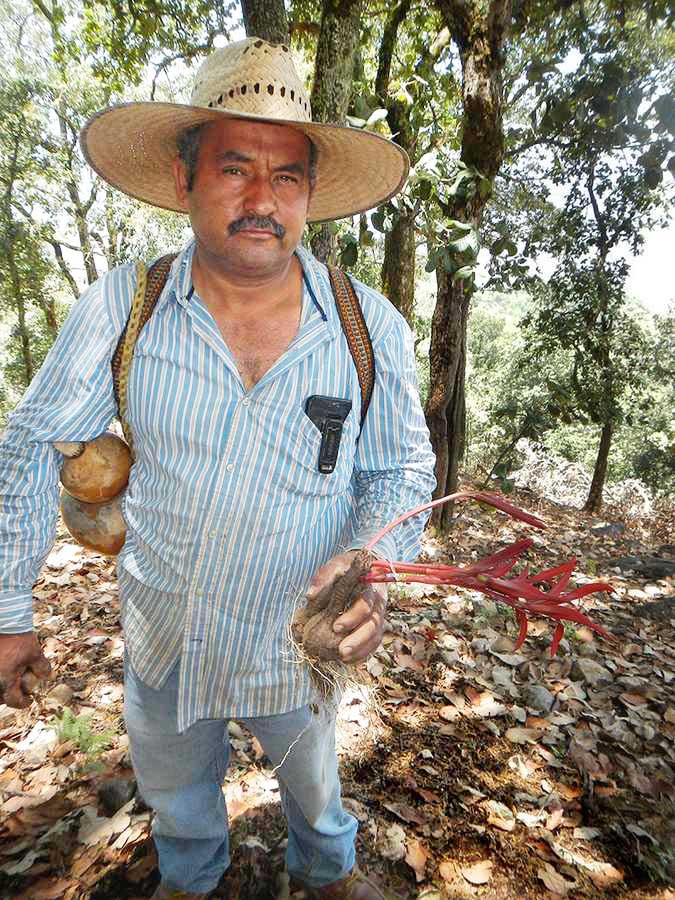 Jose Adan Curiel with tempranilla plant and bule
