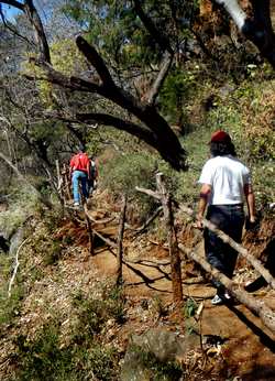 Hiking trail at Agua Blanca