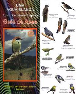 Bird Guide for Agua Blanca