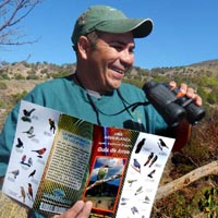 Geology of the Primavera by Barbara Dye