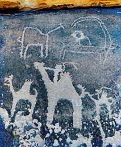 More Petroglyphs at Abu Rakah