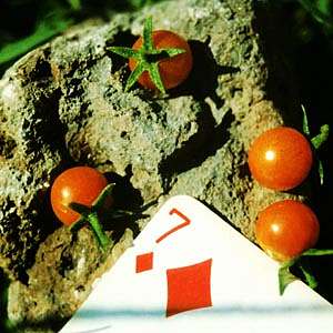 Jaltomates, grandparents of all the world's tomatoes.