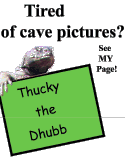 Thucky the dhubb